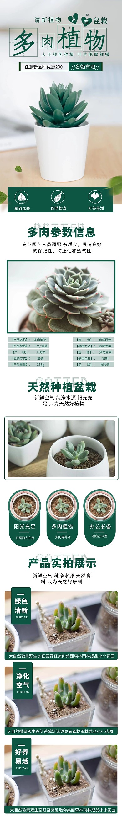 多肉植物淘宝天猫植物盆栽详情页