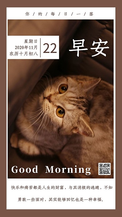 棕色猫咪早安宠物小动物日签