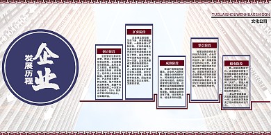 公司发展史