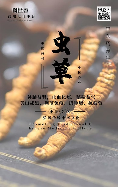 中国传统中医药冬虫夏草药材