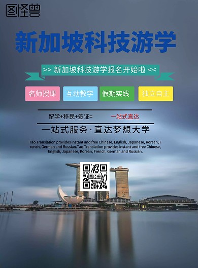 简约风格新加坡科技游学宣传海报
