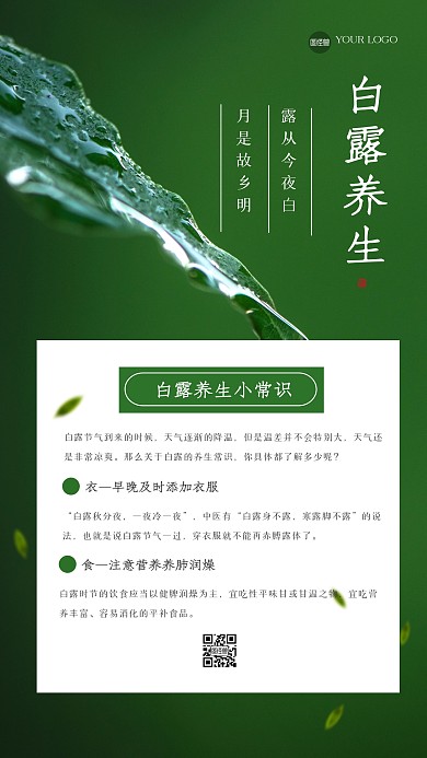 简约白露养生实用百科手机海报