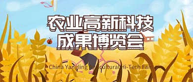 抽象麦穗公众号封面