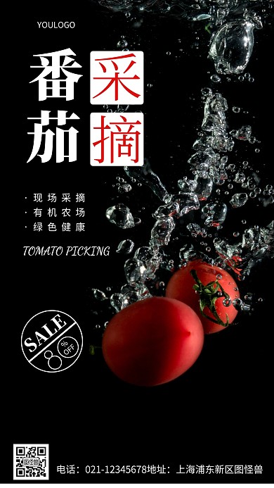 摄影图番茄采摘简约风手机海报