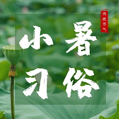 小暑习俗节气养生夏天摄影莲蓬公众号次图