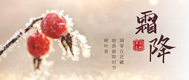 霜降节气问候摄影风霜花植物公众号封面