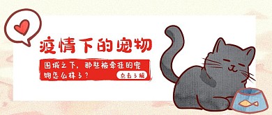 疫情下的宠物热点卡通红包公众号封面首图