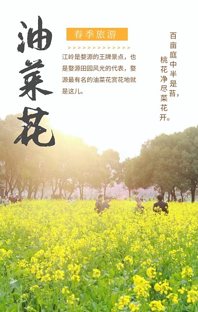 黄色简约清新油菜花季旅游手机海报