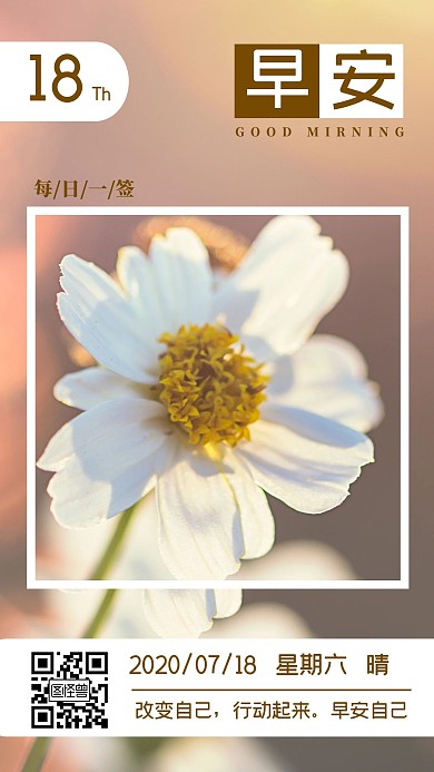 早安菊花小花清新摄影暖意日签