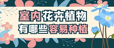 花卉植物室内花粉色公众号封面首图