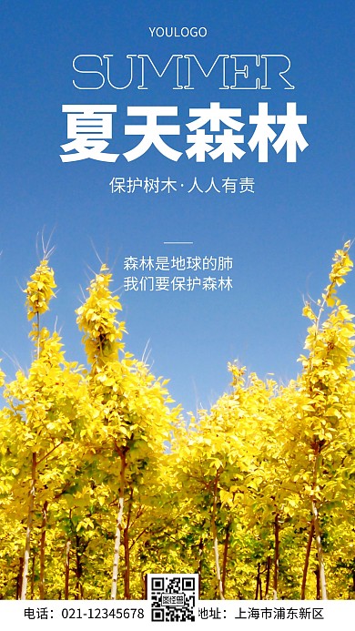 摄影图夏天森林简约风手机海报