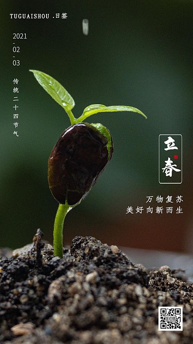 摄影图简约大气立春节气日签设计