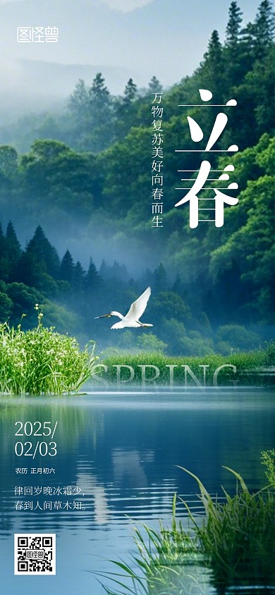 小清新树林立春节气海报