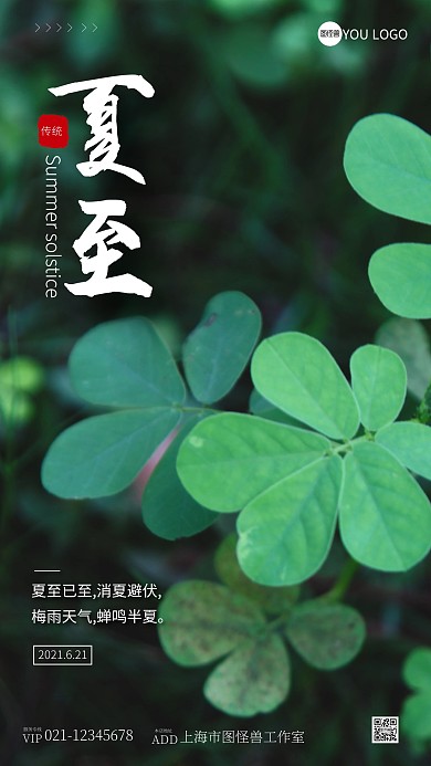 风景夏至二十四节气摄影图手机海报