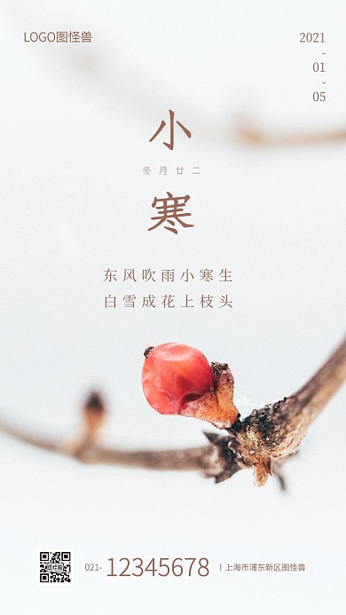 小寒节气祝福摄影图手机海报