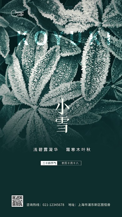 二十四节气节日小雪冬季推广摄影图海报