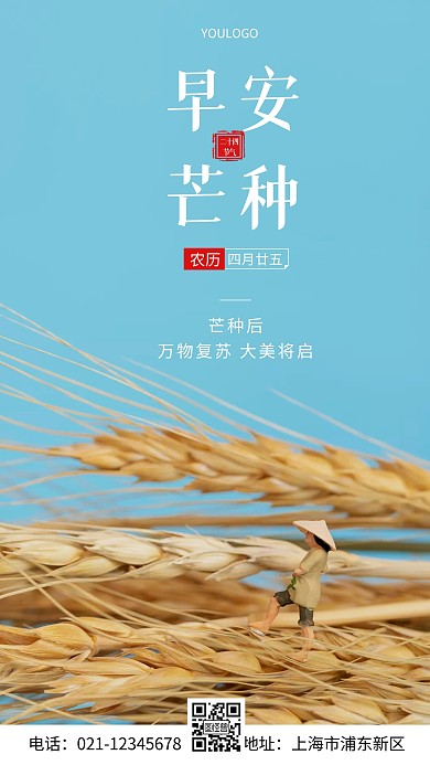 摄影图芒种早安简约风手机海报