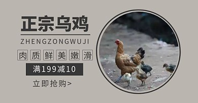 正宗乌鸡灰色简约宣传轮播图