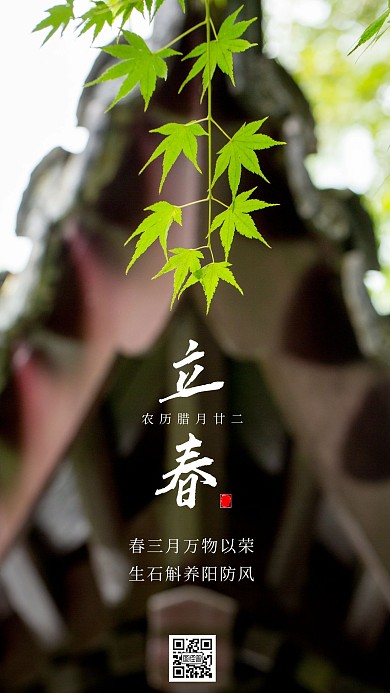 简约风摄影图早安立春节气腊月日签