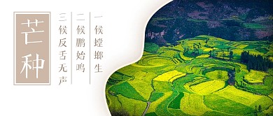 简约芒种一候螳螂生公众号封面首图