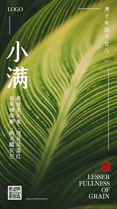 小满中国传统节气植物摄影手机海报
