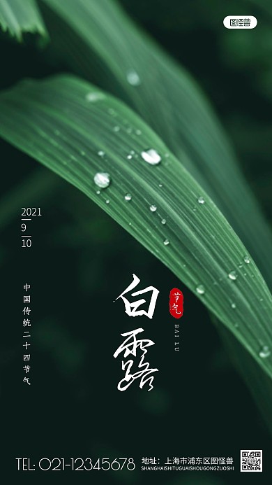 二十四节气白露简约摄影图海报