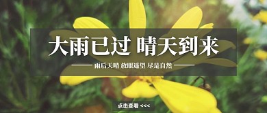 2020天气晴朗黄色主调简约风格宣传