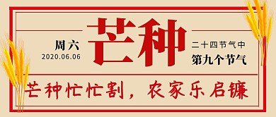 芒种节气麦子丰收简约科普公众号封面