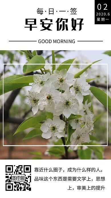 早安6.2简约大气绿色花朵白色日签海报