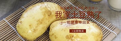 农产品自家种植蔬菜土豆淘宝天猫banner