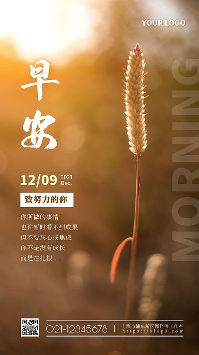 充满阳光为背景早安励志摄影图海报