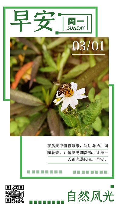 早安自然风光绿色摄影日签