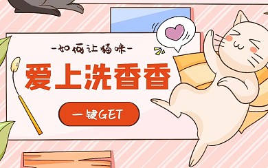 宠物猫咪日常护理直播视频封面