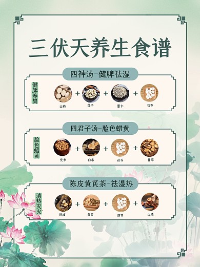 古风三伏养生茶饮介绍小红书封面