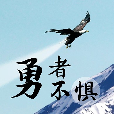 雄鹰简约蓝色红包头像