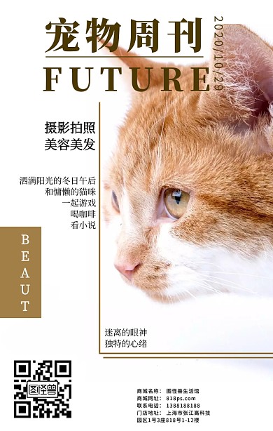 宠物周刊猫咪封面海报日签