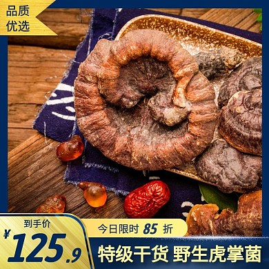 野生虎掌菌简约大气蓝黄色主图直通车