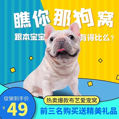 原创电商宠物服务用品淘宝天猫推广主图