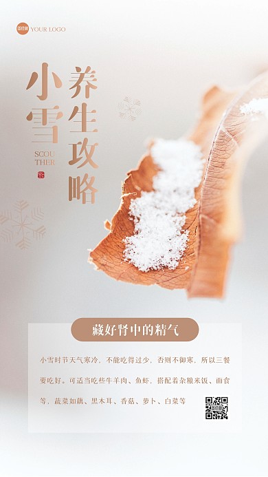 清新小雪养生攻略摄影图海报
