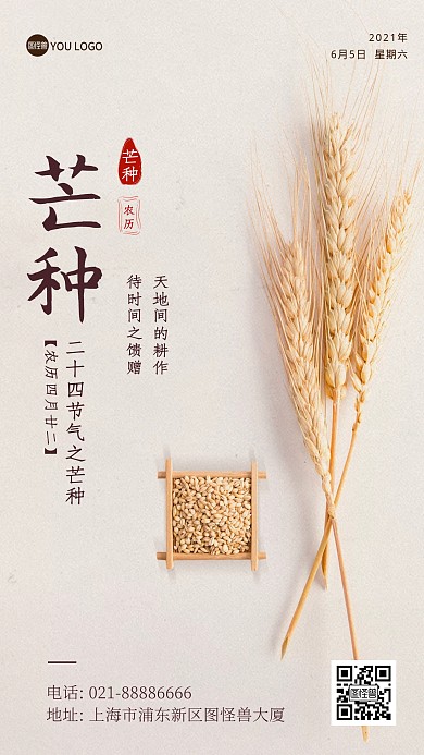 芒种劳作自然风景麦穗手机摄影图海报