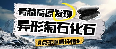 青藏高原发现异形菊石化石公众号首图
