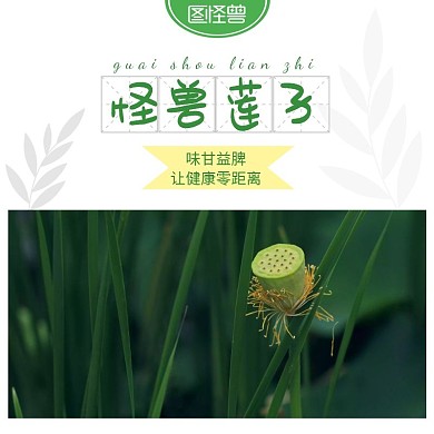 绿色莲子宝贝主图主图直通车	