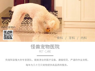 宠物医院公众号配图