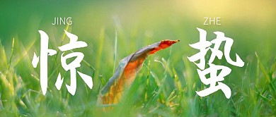 摄影风简约惊蛰传统节气公众号封面