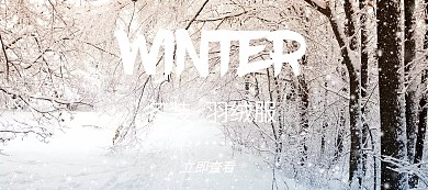 女装冬装摄影欧美风活动促销banner