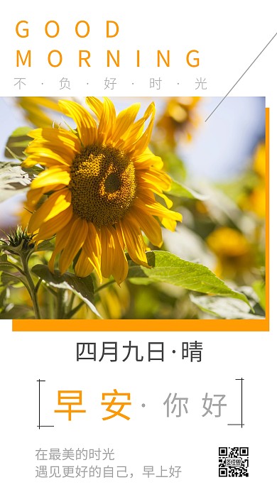 清新淡雅植物向日葵早安日签