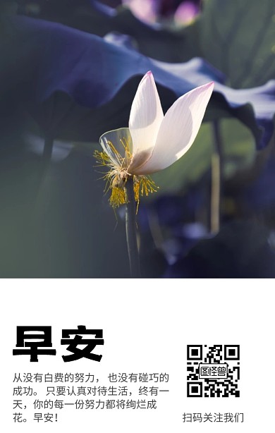 极简绿叶简约清新早安心语营销日签励志鸡汤