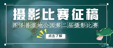 湿地公园摄影比赛简约红包推文首图