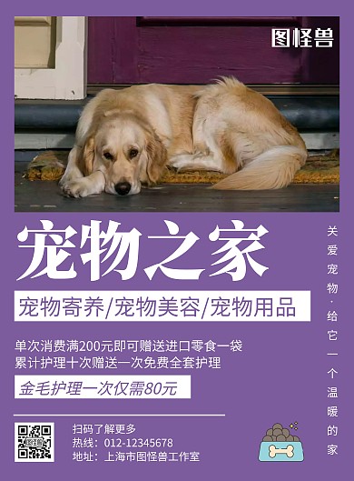金毛犬宠物店紫色创意简约宣传海报