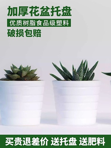 花盆托盘主图